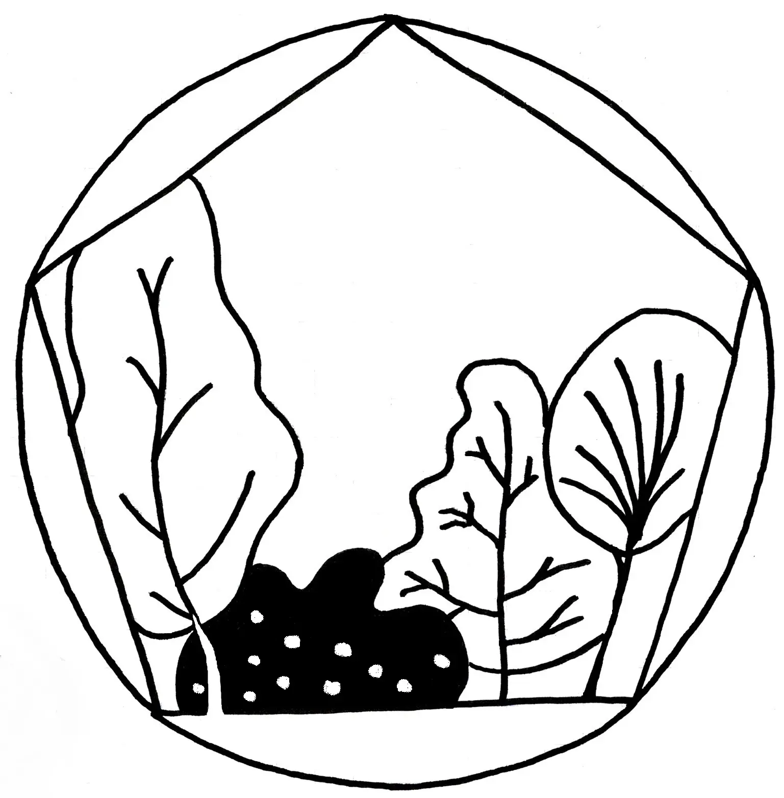 Terra da Silva